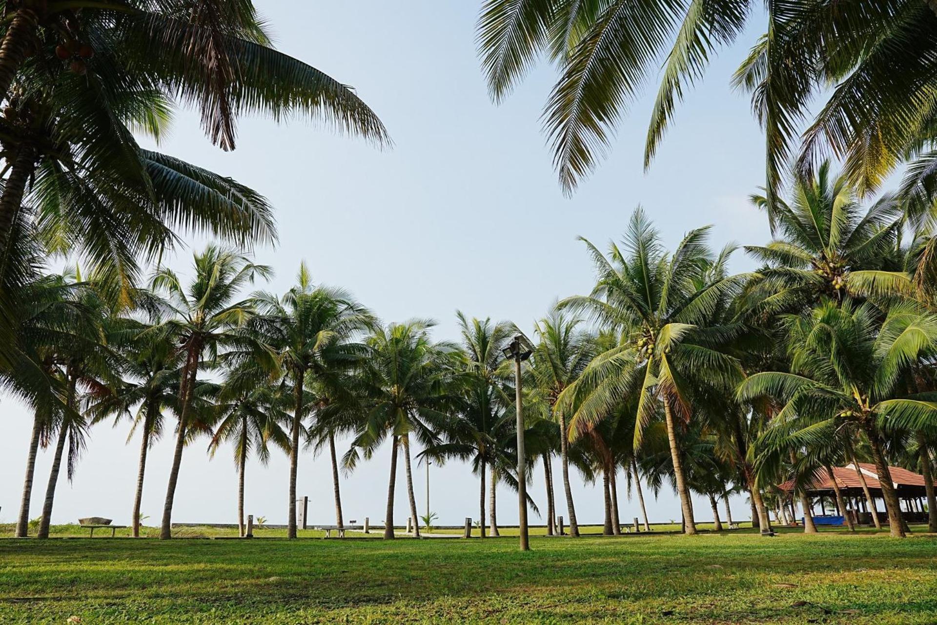 Dat Lanh Beach Resort Lagi Buitenkant foto